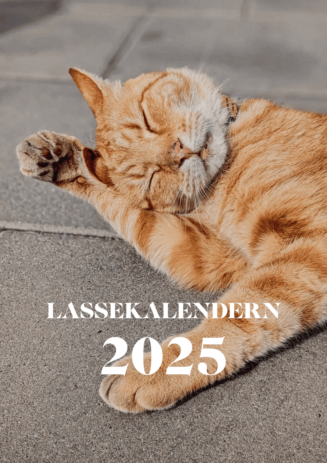 FÖRBOKA Lassekalendern 2025