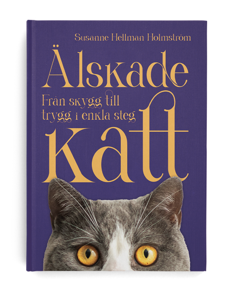 Älskade katt