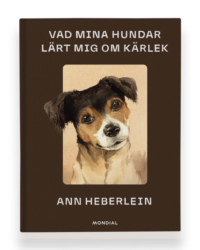 Vad mina hundar lärt mig om kärlek