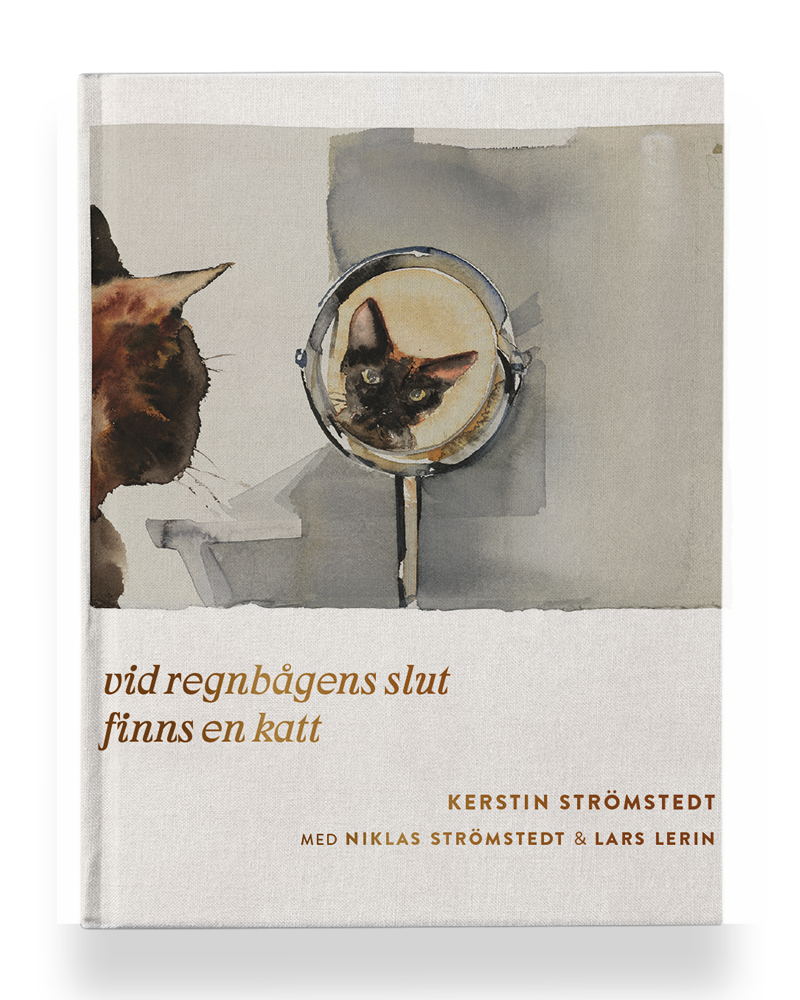 Vid regnbågens slut finns en katt